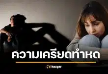 น่าห่วง ผู้ใหญ่ 20% ไร้เซ็กซ์นานกว่าปี เหตุเครียดเรื่องเงิน-งานรุมเร้า ยอมรับ &#039;เหงาจับใจ&#039; โหยหารัก