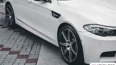 ยางแก้มเตี้ย