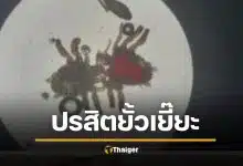 สยอง หนุ่มคันโคน "น้องชาย" นานแรมปี กินยาไม่หาย หมอถึงผงะ เจอเดินยั้วเยี้ย