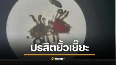 สยอง หนุ่มคันโคน "น้องชาย" นานแรมปี กินยาไม่หาย หมอถึงผงะ เจอเดินยั้วเยี้ย