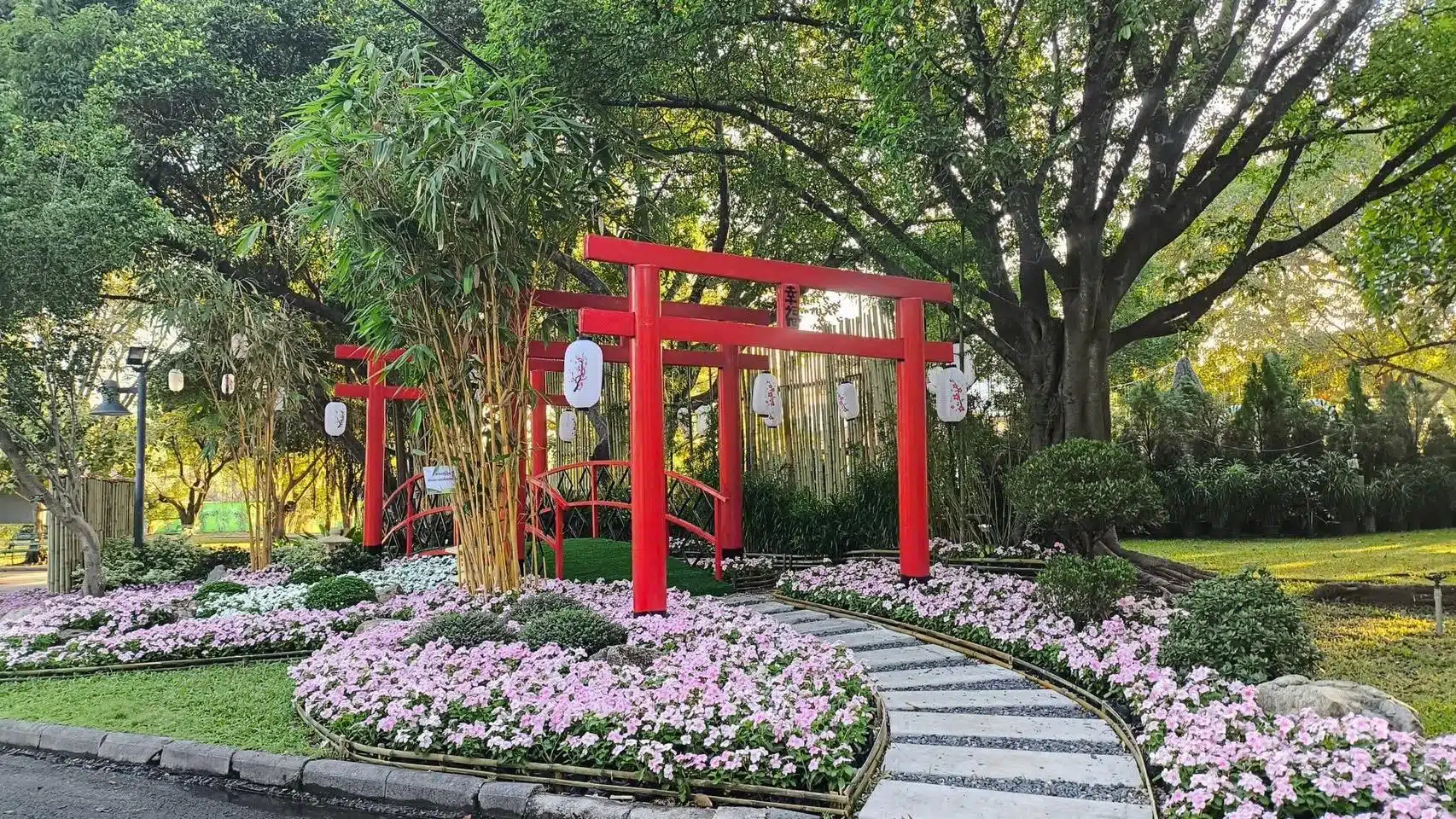 สวนหลวง ร.9 เปิดเทศกาลดอกไม้ 1-10 ธ.ค. 68