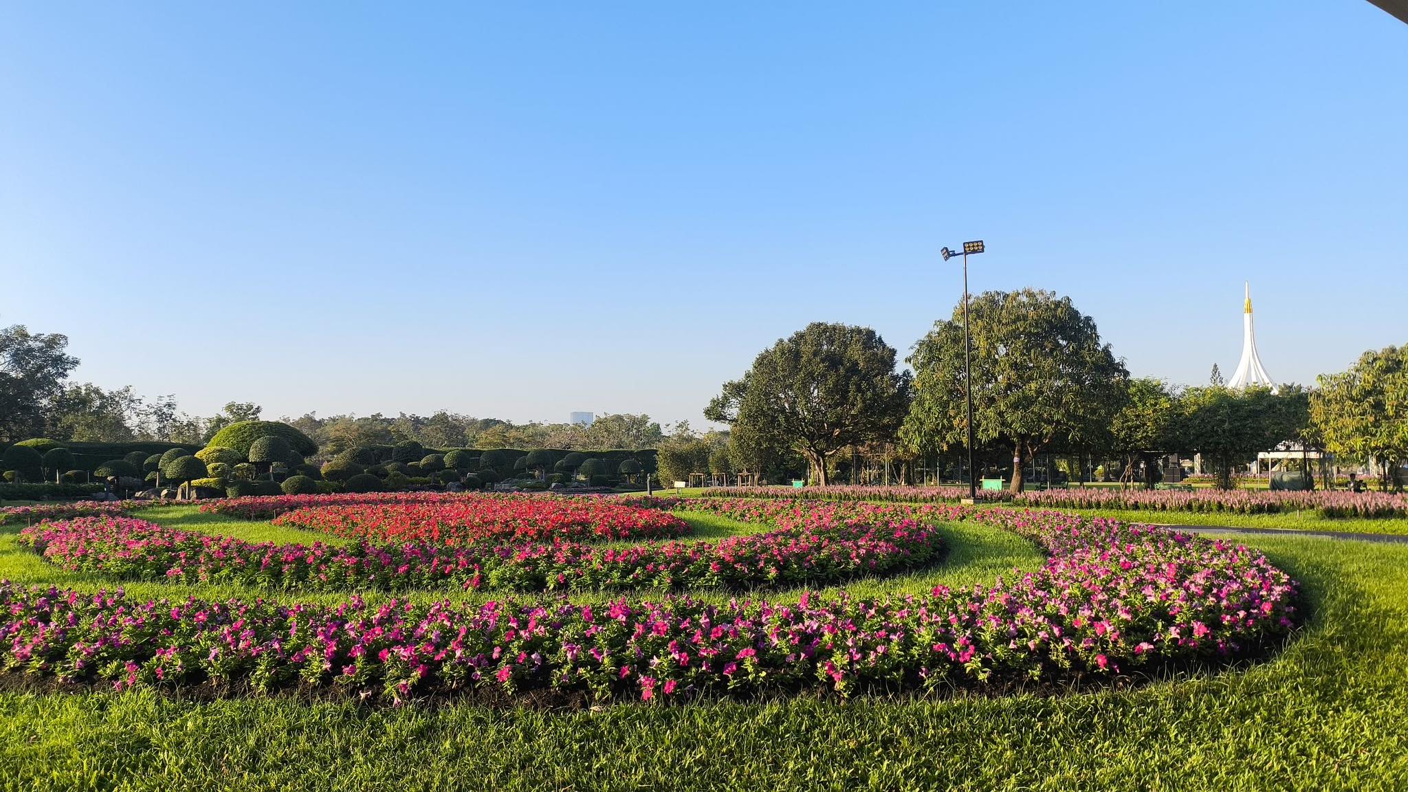 งานสวนหลวง ร.9 เปิดเทศกาลดอกไม้ 1-10 ธ.ค. 68