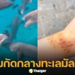 สาวจีน ถูกฉลามกัดขณะดำน้ำที่มัลดีฟส์ เจ้าตัวเผย ดำน้ำตอนมีประจำเดือน ชาวเน็ตจวกเล่นไม่รู้เรื่อง