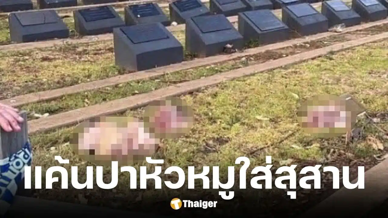 มีผู้ปาหัวหมูใส่หลุมศพมุสลิมระบายแค้นเหตุกราดยิงบอนได