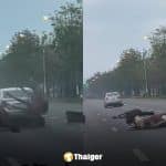 คลิปอุบัติเหตุ! ม้าหลุดวิ่งลงถนน 4 เลนส์ รถเบรกไม่ทันพุ่งชนสนั่น ชาวเน็ตแห่ถามสาเหตุ