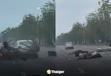 คลิปอุบัติเหตุ! ม้าหลุดวิ่งลงถนน 4 เลนส์ รถเบรกไม่ทันพุ่งชนสนั่น ชาวเน็ตแห่ถามสาเหตุ