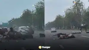 คลิปอุบัติเหตุ! ม้าหลุดวิ่งลงถนน 4 เลนส์ รถเบรกไม่ทันพุ่งชนสนั่น ชาวเน็ตแห่ถามสาเหตุ