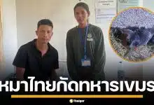 กัมพูชาอ้าง หมาทหารไทย บุกกัดทหารแนวหน้า ก่อนยิงทิ้ง หวั่นติดเชื้อพิษสุนัขบ้า