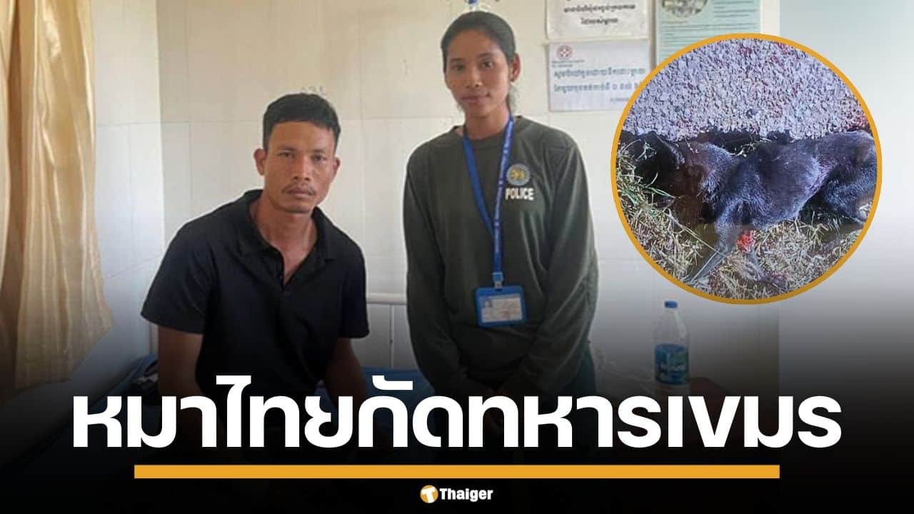 กัมพูชาอ้าง หมาทหารไทย บุกกัดทหารแนวหน้า ก่อนยิงทิ้ง หวั่นติดเชื้อพิษสุนัขบ้า