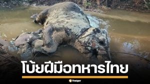 กัมพูชา พบซากแม่ลูกช้างตาย โบ้ยฝีมือทหารไทย อ้างโดนกระสุน-สะเก็ดระเบิด