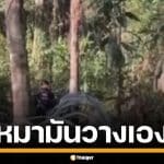 ทหารเขมร ปัดวางทุ่นระเบิด ย้อนไปเดินเหยียบทำไม ทหารไทยสวนกลับ หมามันวางเอง