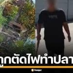 ฉุนจัด! ลูกบ้านค้างค่าไฟ คว้าท่อนไม้ไล่ตี-ขู่ฆ่า เจ้าหน้าที่ตัดไฟ อ้างทำปลาตาย