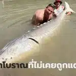 ปลาสเตอร์เจียนตัวใหญ่ที่สุด