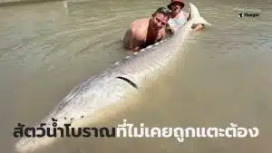 ปลาสเตอร์เจียนตัวใหญ่ที่สุด