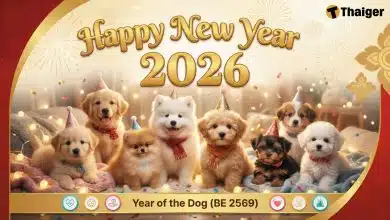 แจกฟรี ภาพสวัสดีปีใหม่ 2569/2026 อวยพรปีใหม่ สคส. ให้คนที่รัก