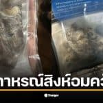 ภาพชิ้นส่วนปอดสีดำที่ถูกผ่าตัดออกจากร่างกายวัยรุ่นที่ติดบุหรี่ไฟฟ้า