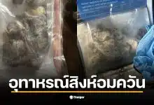 ภาพชิ้นส่วนปอดสีดำที่ถูกผ่าตัดออกจากร่างกายวัยรุ่นที่ติดบุหรี่ไฟฟ้า