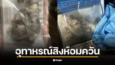 ภาพชิ้นส่วนปอดสีดำที่ถูกผ่าตัดออกจากร่างกายวัยรุ่นที่ติดบุหรี่ไฟฟ้า