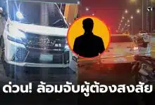 ล้อมจับอัลพาร์ดขาว