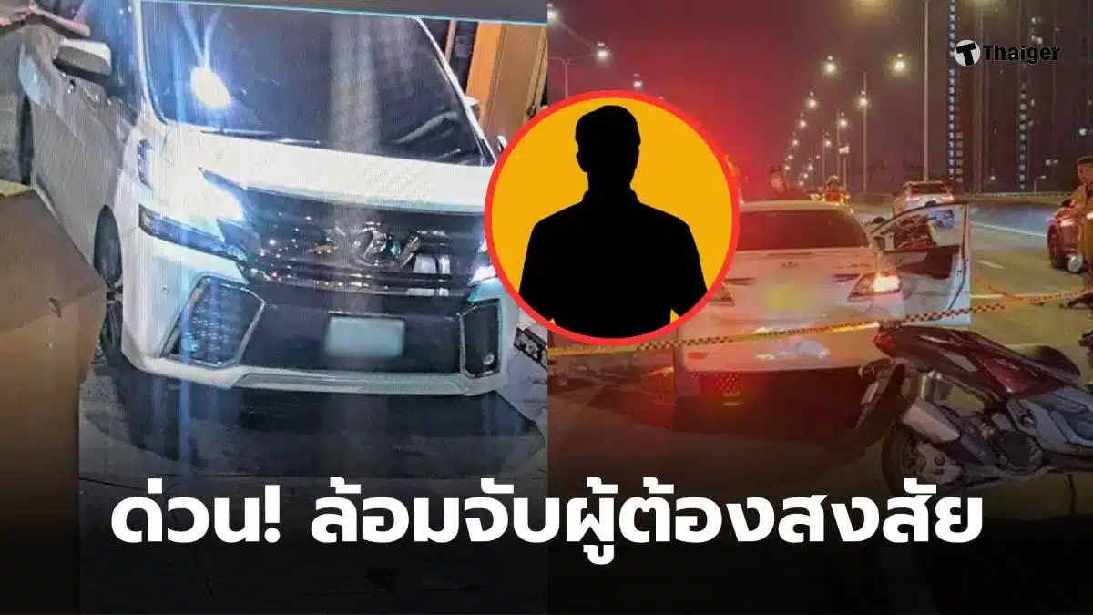 ล้อมจับอัลพาร์ดขาว