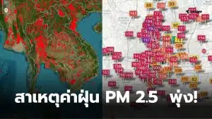 pm 2 5 กลับมาเกินค่ามาตฐานเพราะเผา