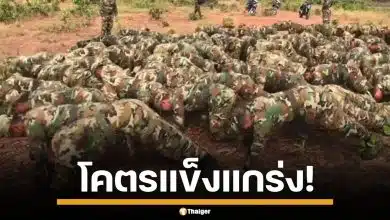 โซเชียลแห่แชร์ ทหารเขมรโชว์ฟิต วิดพื้นท่าสุดแปลกทั้งกอง ทำเอาชาวเน็ตแซวยับ