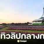 สวนหลวง ร.9 เปิดงานพรรณไม้งามอร่าม วันนี้ถึง 10 ธ.ค. นี้