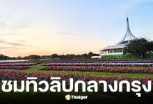 สวนหลวง ร.9 เปิดงานพรรณไม้งามอร่าม วันนี้ถึง 10 ธ.ค. นี้