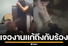 สาวสองรุมตบ LGBTQ+ สติไม่ดี จนฉี่ราด ก่อนเจองานแก้ เพื่อนบุกทวงแค้นทันควัน