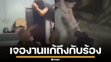 สาวสองรุมตบ LGBTQ+ สติไม่ดี จนฉี่ราด ก่อนเจองานแก้ เพื่อนบุกทวงแค้นทันควัน