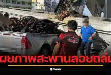 รถยนต์เสียหายหนักจากคานสะพานที่ร่วงหล่นลงมาทับที่บางนา-ตราด