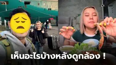 เหมยหมึกเป็นซาซิมิสามี