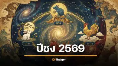 ปีชง 2569 แรงสุดในรอบ 60 ปี ม้าไฟ ชง 4 นักษัตร ปีชวด ชงตรง ปีมะเมีย ปีเถาะ แนะวิธีรับมือ ไปไหว้ฝากดวงวัดมังกร หรือศาลเจ้าพ่อเสือ