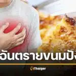 วิจัยเตือน ขนมปังปิ้ง อาหารเช้าคนชอบกิน ปรุงผิดวิธี เสี่ยงหัวใจวาย-สโตรกพุ่ง 60%