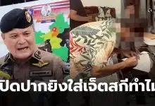 น้ำท่วมหาดใหญ่ยิงปืนใส่เจ็ตสกี