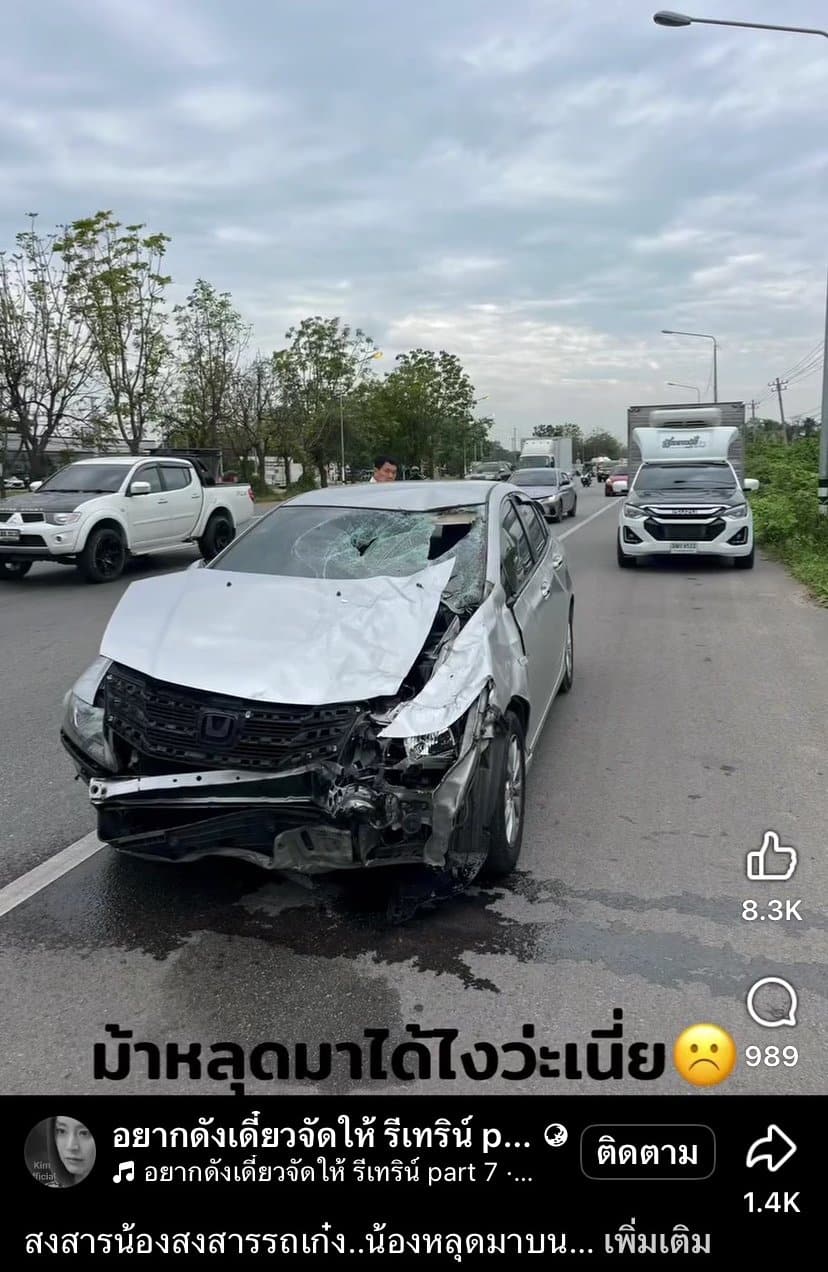 คลิปอุบัติเหตุ ม้าหลุดวิ่งลงถนน 4 เลนส์ รถเลนส์ขวาเบรกไม่ทันชนสนั่น ชาวเน็ตแห่ถามสาเหตุ