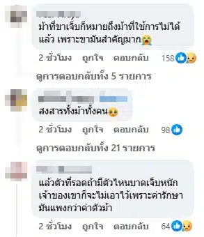 ชาวเน็นคอมเมนต์-1