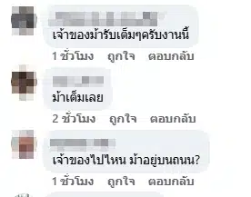 ชาวเน็นคอมเมนต์-2