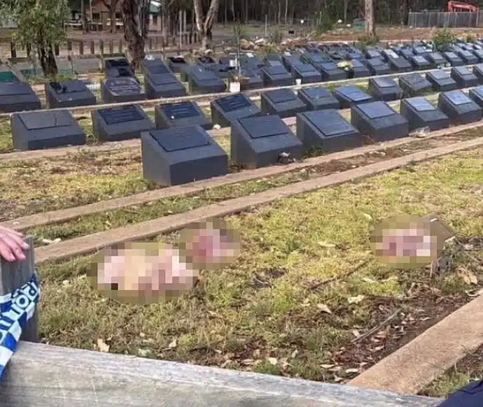 ปาหัวหมูใส่หลุมศพมุสลิมระบายแค้นเหตุกราดยิงบอนได