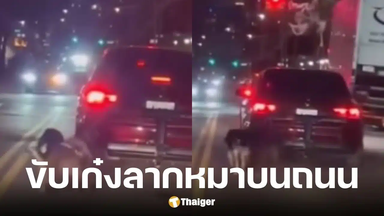 ลุงวัย 68 ขับเก๋งลากสุนัข 2 ตัววิ่งตามรถกลางนิวยอร์ก