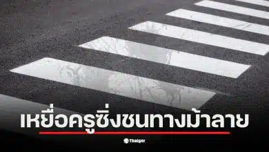 ครูขับรถเก๋งชนเด็กหญิง 6 ขวบ ขณะข้ามทางม้าลาย