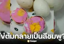 เตือนภัยไข่ต้มสีชมพู อย่ากินเด็ดขาด