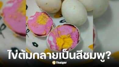 เตือนภัยไข่ต้มสีชมพู อย่ากินเด็ดขาด
