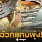 สาวช็อก สั่งสเต็กร้านดัง เปิดเจอ "เล็บปลอม" อยู่ในสลัดผัก อ้วกแทบพุ่ง ชาวเน็ตสงสัยพนง.ครัวทำเล็บได้เหรอ?