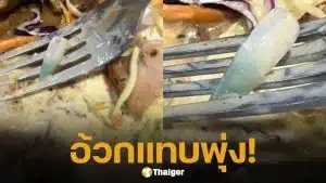 สาวช็อก สั่งสเต็กร้านดัง เปิดเจอ "เล็บปลอม" อยู่ในสลัดผัก อ้วกแทบพุ่ง ชาวเน็ตสงสัยพนง.ครัวทำเล็บได้เหรอ?