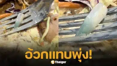สาวช็อก สั่งสเต็กร้านดัง เปิดเจอ "เล็บปลอม" อยู่ในสลัดผัก อ้วกแทบพุ่ง ชาวเน็ตสงสัยพนง.ครัวทำเล็บได้เหรอ?