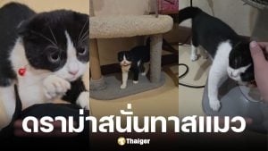 หมอเนย์ จำใจคืนแมว สมเจี๊ยบ หลังเลี้ยงได้ 3 วัน