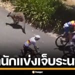 ระทึก! ฝูงจิงโจ้ตัดหน้า นักปั่นจักรยาน ขณะแข่งขัน ทำผู้แข่งขันบาดเจ็บระนาว