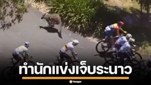 ระทึก! ฝูงจิงโจ้ตัดหน้า นักปั่นจักรยาน ขณะแข่งขัน ทำผู้แข่งขันบาดเจ็บระนาว