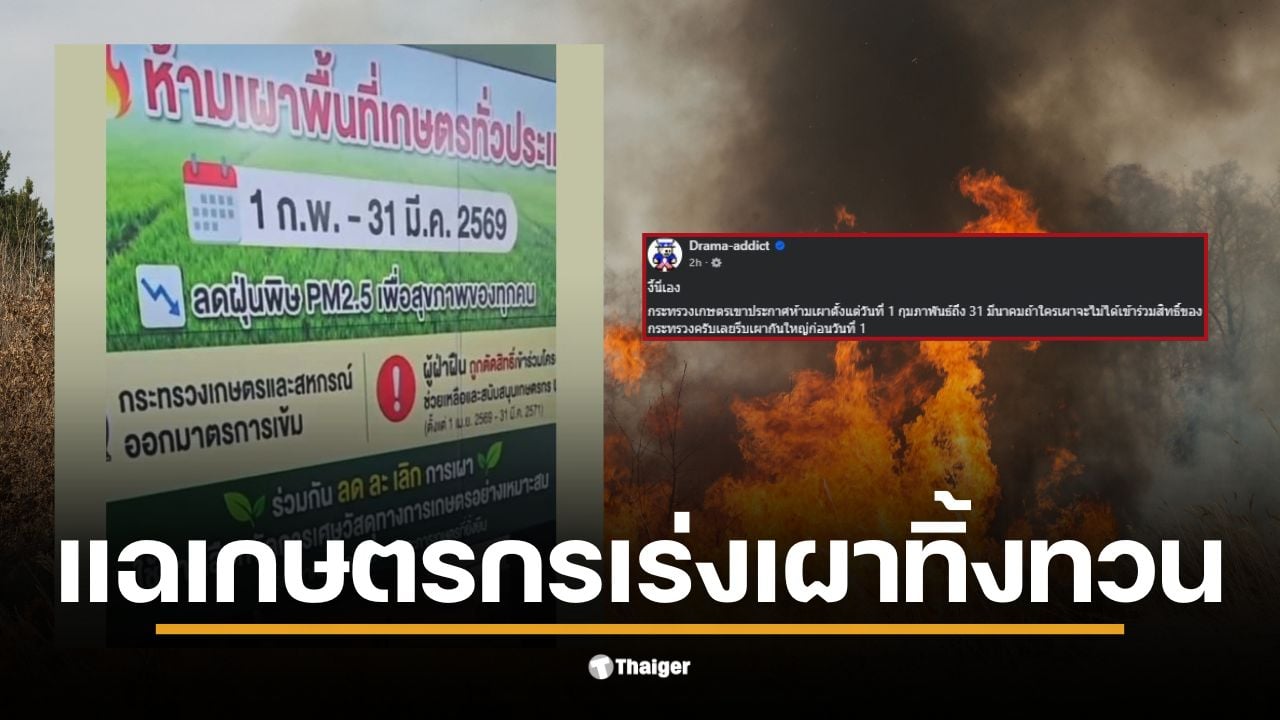 เกษตรกรเร่งเผาเพื่อหลีกเลี่ยงการตัดสิทธิ์จากโครงการรัฐในช่วงฝุ่น PM 2.5